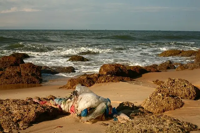 pollution mers ocean plastique