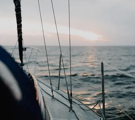 Projets Nautiques & Environnementaux observation faune flore ocean environnement